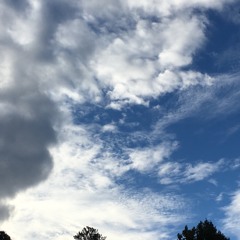 War of books( books of war remix)