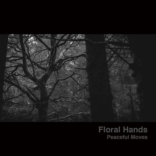 Peaceful Moves By Floral Hands Free Listening On Soundcloud