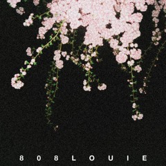 WRECK (PROD. 808LOUIE & BEIGE)