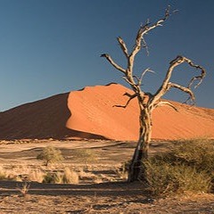 Jam session captured live feat Kampamba Chomba on vocals alongside May Zoro on Guitar.....Nov 2017