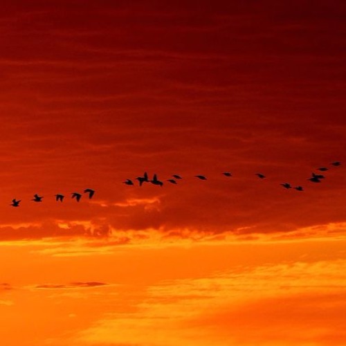 A DAY OF FLIGHT - J David Ojeda