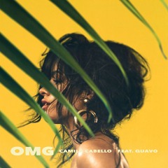 OMG - [ Feat Quavo] Camilla Cabello Chopped Up Mix #TayMix