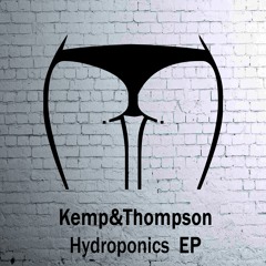 Kemp&Thompson - Swagness (original mix)