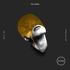 The Rares - Dark (Sasha Carassi Remix)