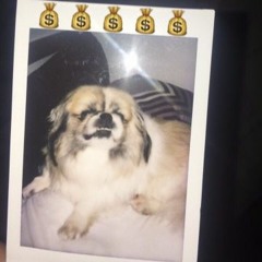 Zankies x WikiYoung - look (Prod. Will See)