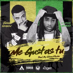 Me Gustas Tu Feat. Kj Nesta Marley (Manu Chao)