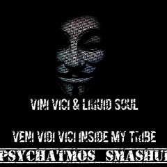 Vini Vici &  Liquid Soul - Veni Vidi Vici Inside My Tribe (Psychatmos Smashup)