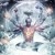 Artwork for Ethereal Ascension Mixtape ( Psy-Dub / Psy-Bass / Ethnic/ Glitch-Hop )