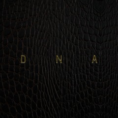 Thomas Seyah - Beautiful Lie