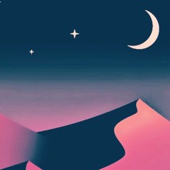 Moonlight Night in a Bag