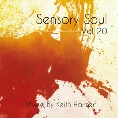 Sensory Soul Volume 20 (Special 3 hour mix) Mixed by Keith Harmer