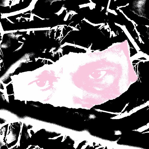 Fargo - BIOME - KZN004 (Clip)