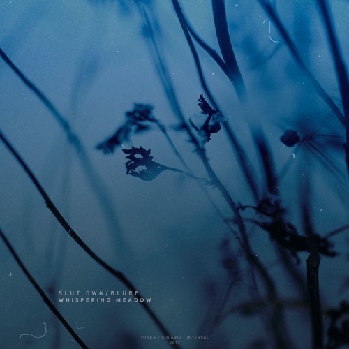 Blut Own & Blure — Interval