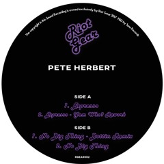 PETE HERBERT - NO BIG THING