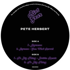 PETE HERBERT - NO BIG THING (BOTTIN'S NARRATIVE)