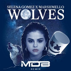 Selena Gomez - Wolves ft. Marshmello (MDB Remix)