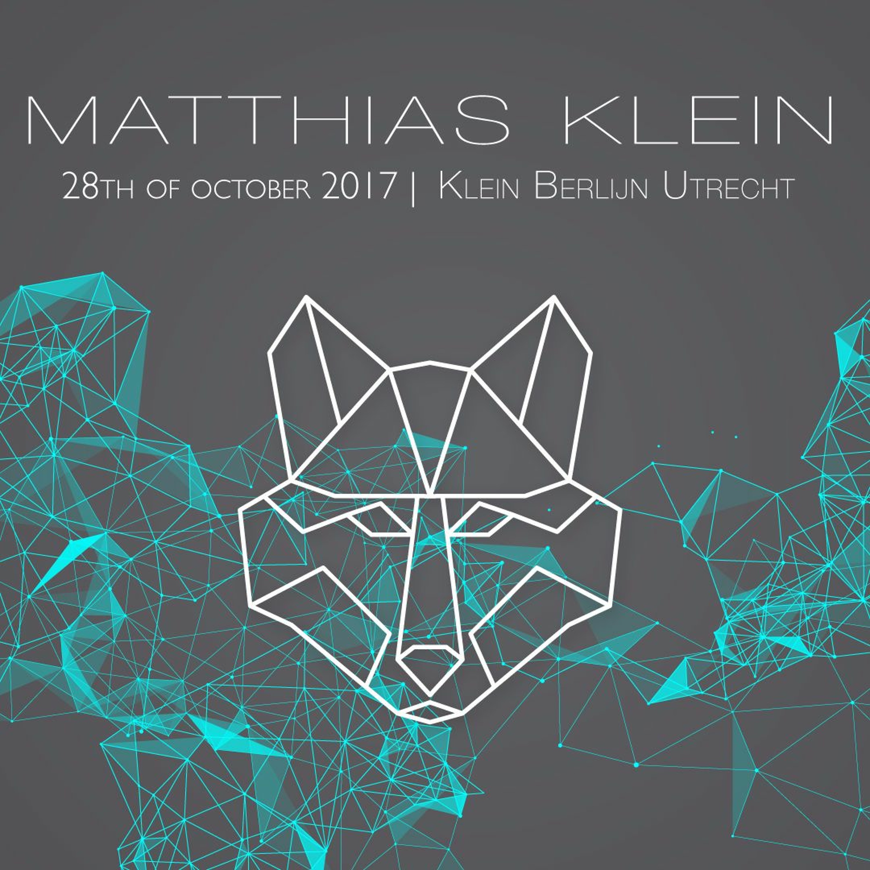 Matthias Klein
