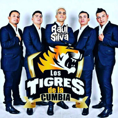 109. CORAZON EN SOLEDAD RMIX - LOS TIGRES DE LA CUMBIA FT RAUL SILVA DJ