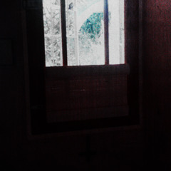 I'll Show You How It Feels