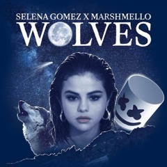 Selena Gomez & Marshmello - Wolves (REESE Remix)