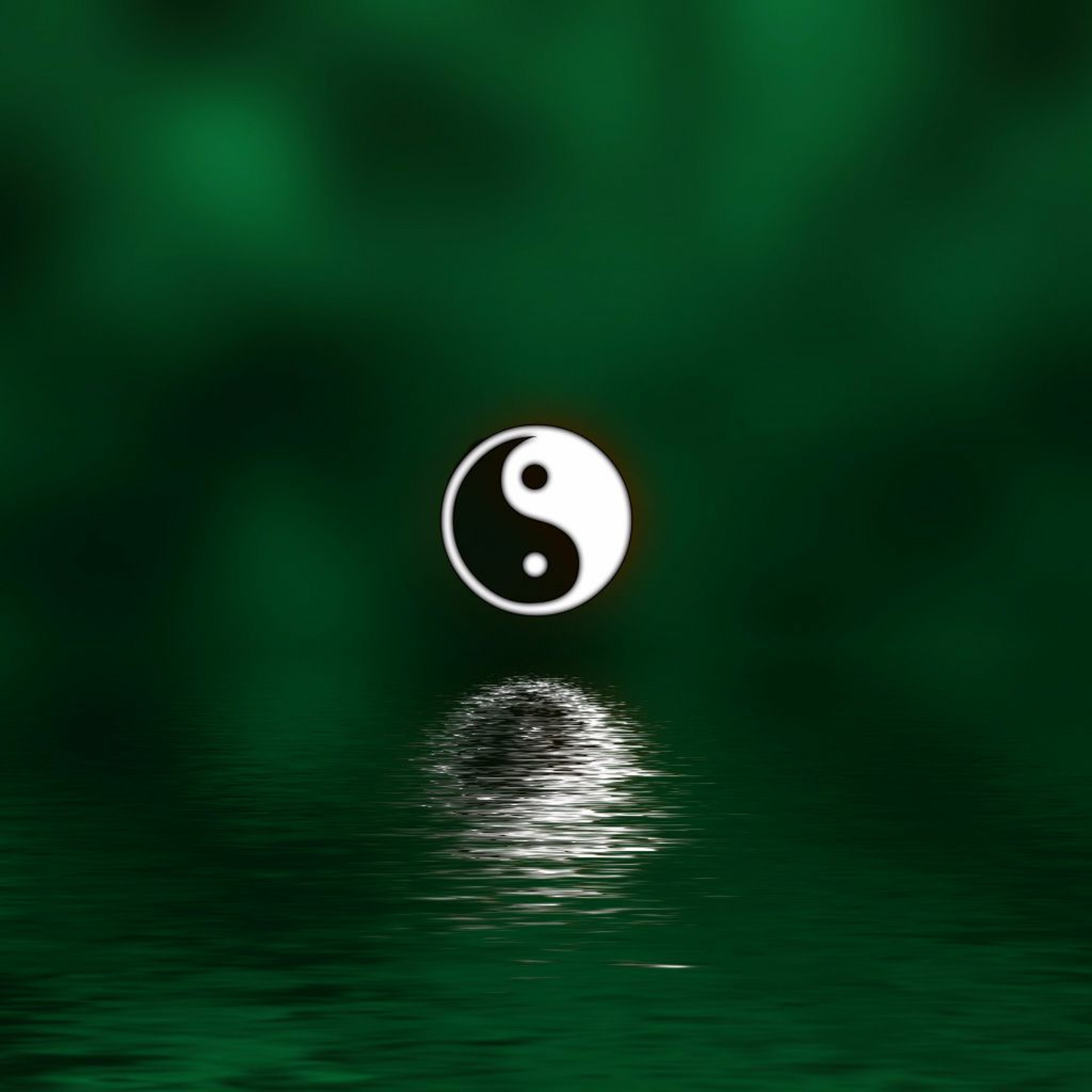 Ying And Yang Wellness episode artwork