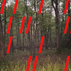 STYLUS + ASTATINE : AT TO ER : APT TO ERR : WHO AM THE ONLY ONE : LIVE 2017