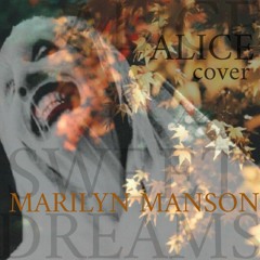 Sweet Dreams- Marilyn Manson acoustic instrumental cover by Alice