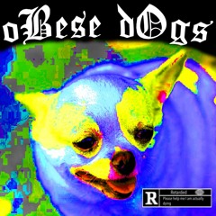 oBese dOgs