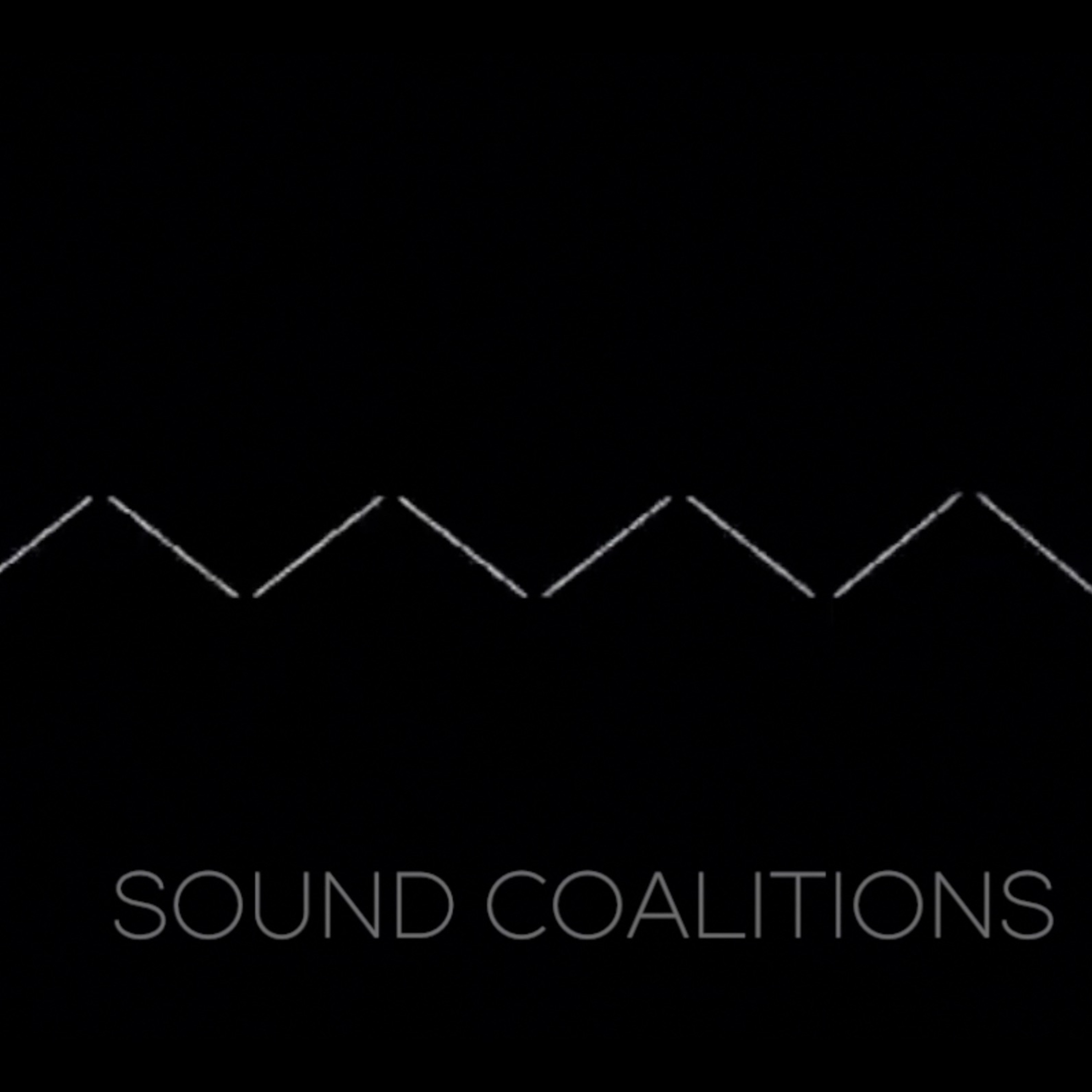 Sound Coalitions by Christopher Foor