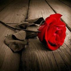 سورة الزمر بصوت الشيخ_ ياسر الدوسري