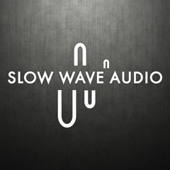 Slow Wave Work Playlist