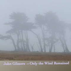 John Gilmore - Only The Wind Remained