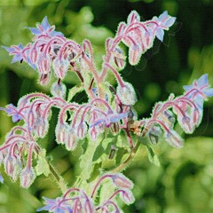 :.:PsychoElectronics & Deephouse .: