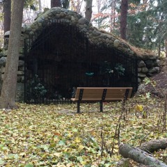 In the Field 11/11/17