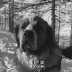 HIVER