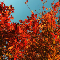 Seasons (Prod. Yondo)