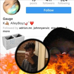 Cynder Block (Gauge Diss)