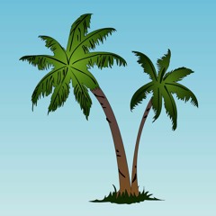 Palm. | @OfficialCert