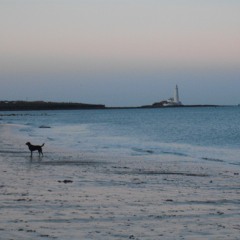 Memories of a Lighthouse Keeper - Extract