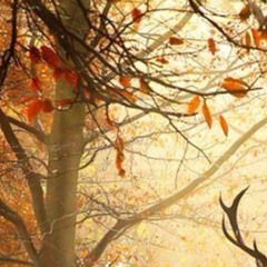 November