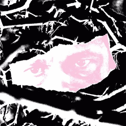 Stealth - BIOME - KZN004 (Clip)