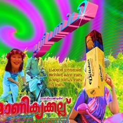 ｃｈｅｍｂａｒａｔｈｉ  ｋａｍｍａｌｉｔｔｕ