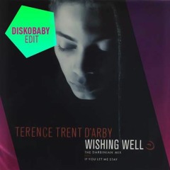 Terence Trent D'Arby - Wishing Well (Diskobaby Edit)