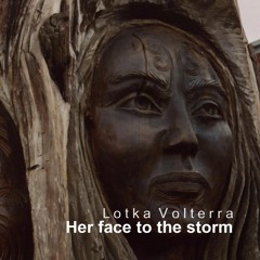 Her Face To The Storm