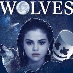 Burak Eren - Selena Gomez- Wolves ( Official Trap Remix) (Download)