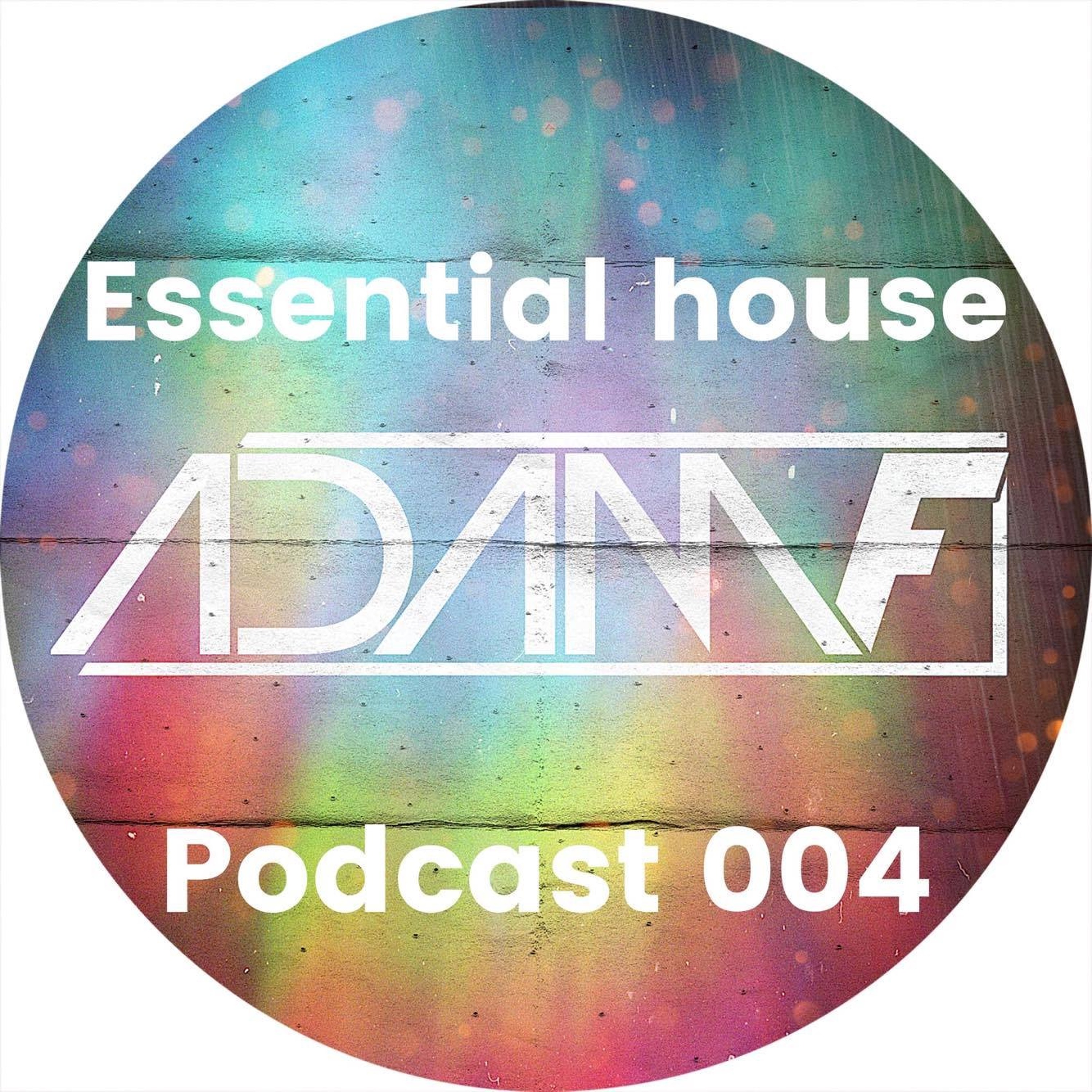 Essential House 004