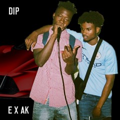E X AK - DIP