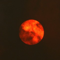 RedSun