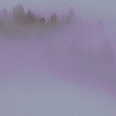 Fog