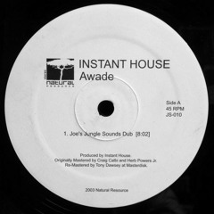 Instant House - Awade ( Vs's Jungle Sounds Raw Edit )